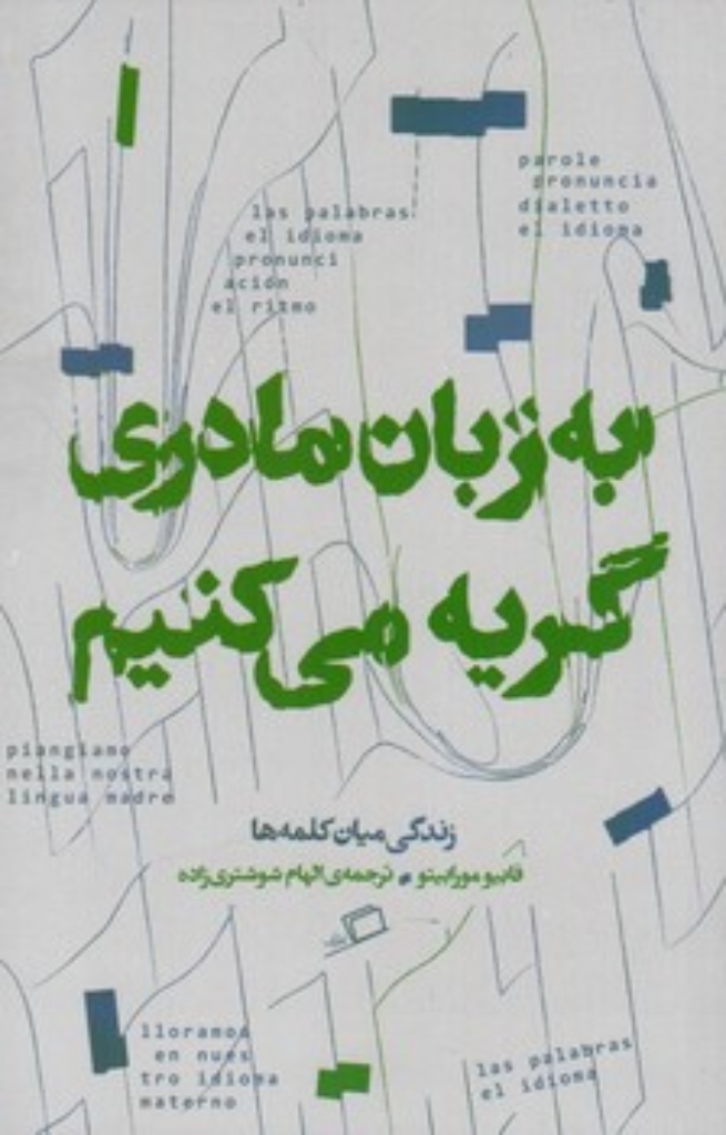 تصویر  به زبان مادری گریه می کنیم - زندگی میان کلمه ها (رقعی-شمیز)